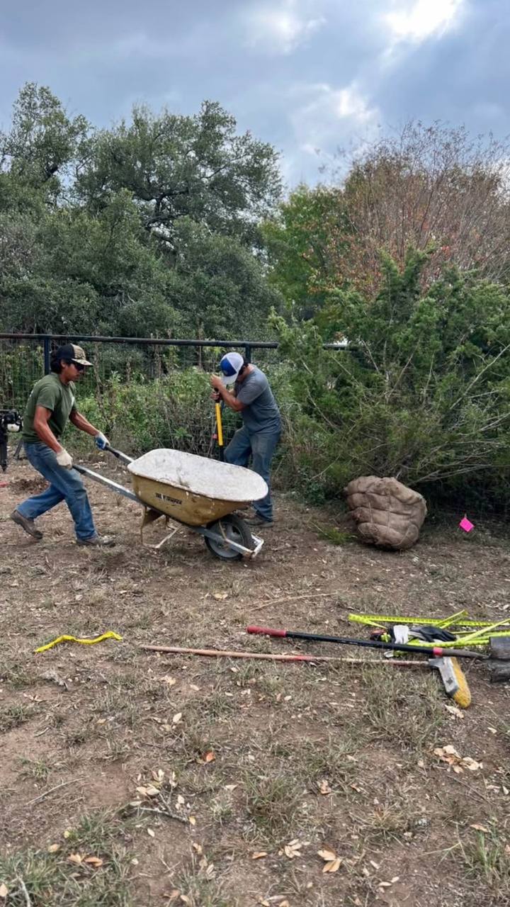 Crew on a privacy hedge job