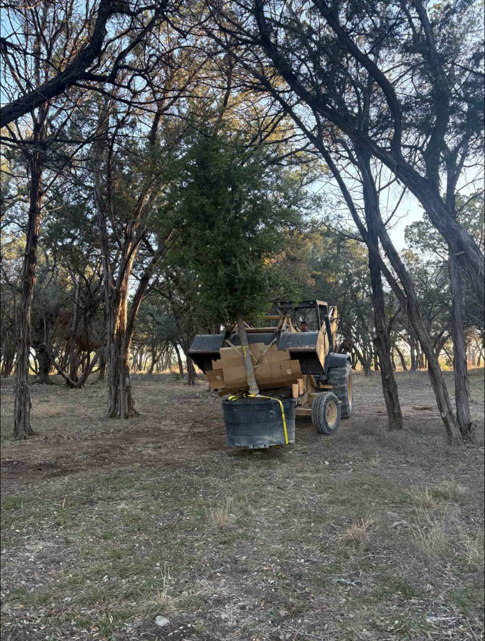Tractor moving a tree on a large acreage project
