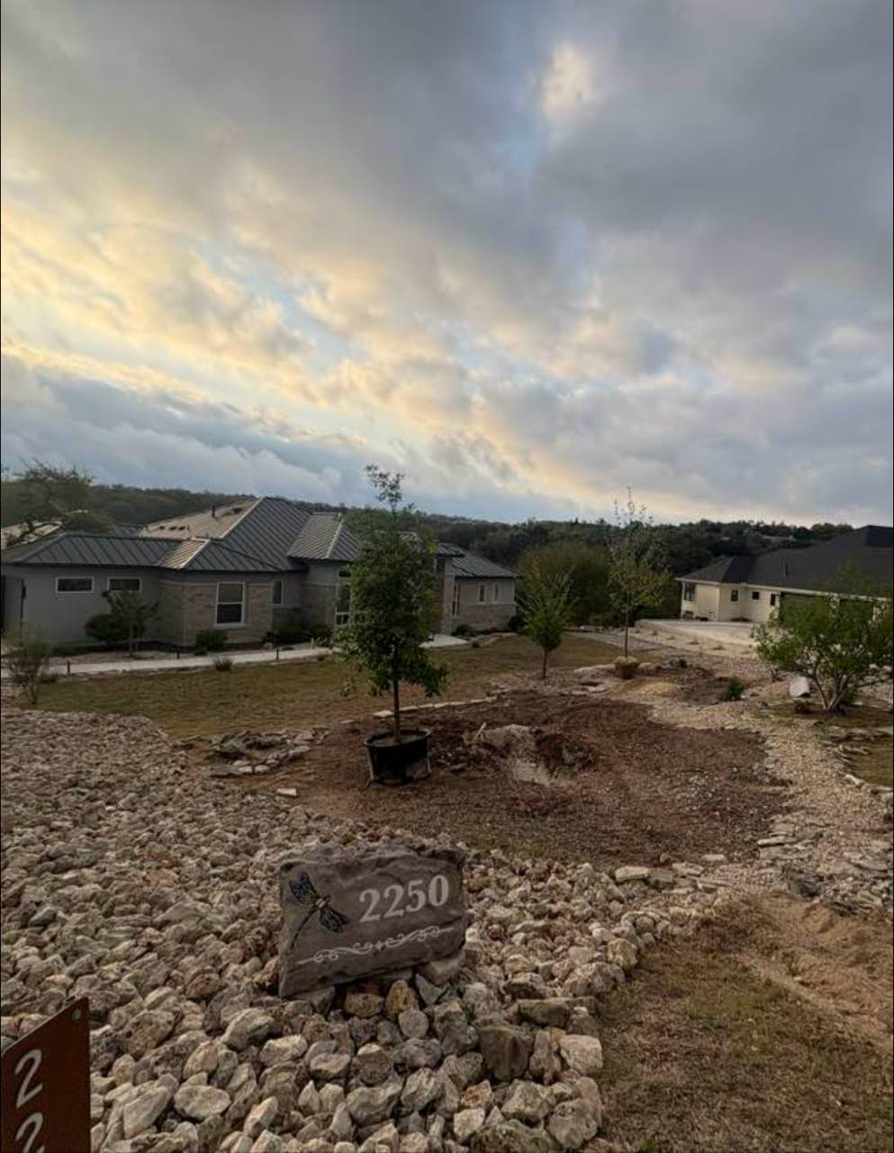 Multi-phase project — trees + xeriscape beds