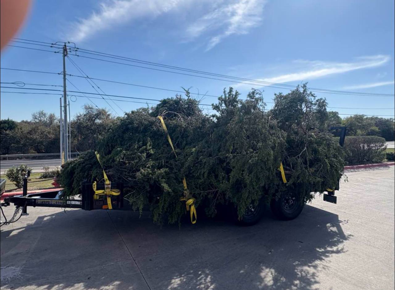 Strapped down and ready to dump