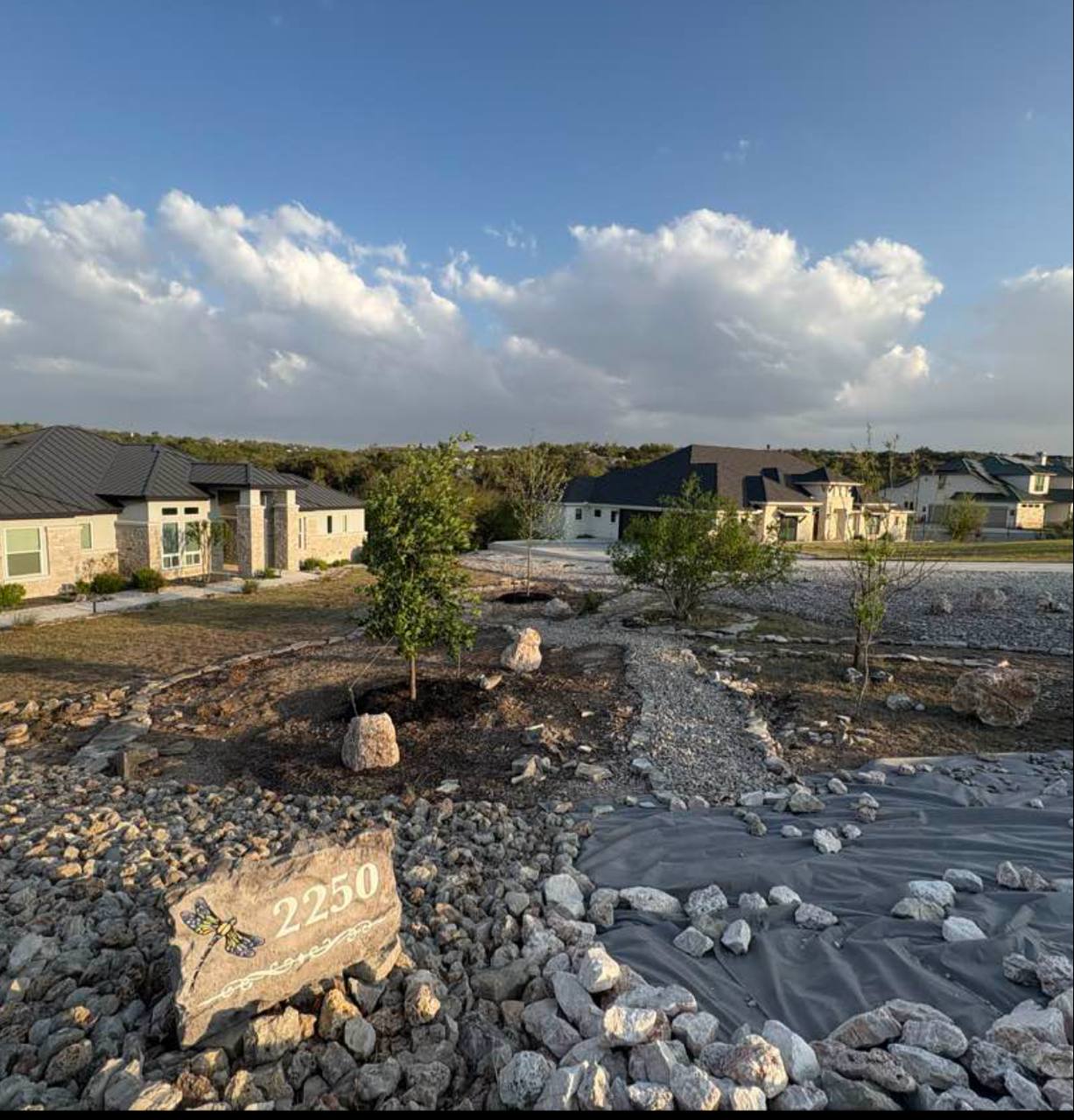 After — sycamores, Monterrey oaks + river rock